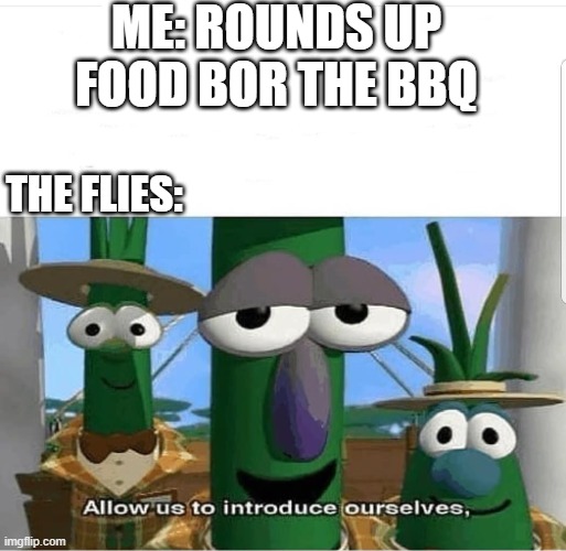 so damn annoying | ME: ROUNDS UP FOOD BOR THE BBQ; THE FLIES: | image tagged in allow us to introduce ourselves | made w/ Imgflip meme maker