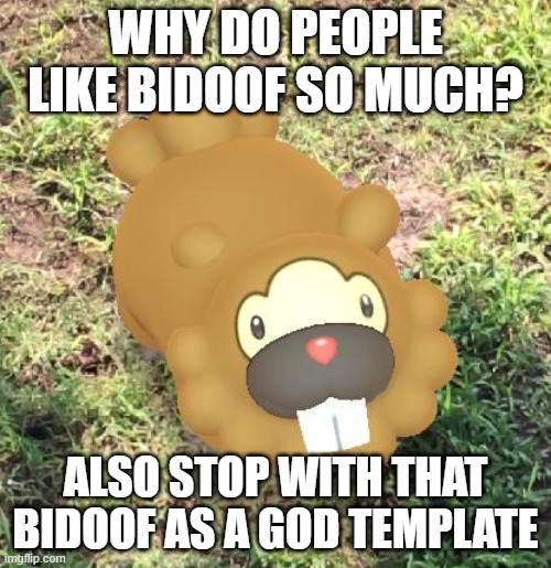 Why? Just Why? | WHY DO PEOPLE LIKE BIDOOF SO MUCH? ALSO STOP WITH THAT BIDOOF AS A GOD TEMPLATE | image tagged in bidoof,memes,pokemon,stop reading the tags,or,barney will eat all of your delectable biscuits | made w/ Imgflip meme maker
