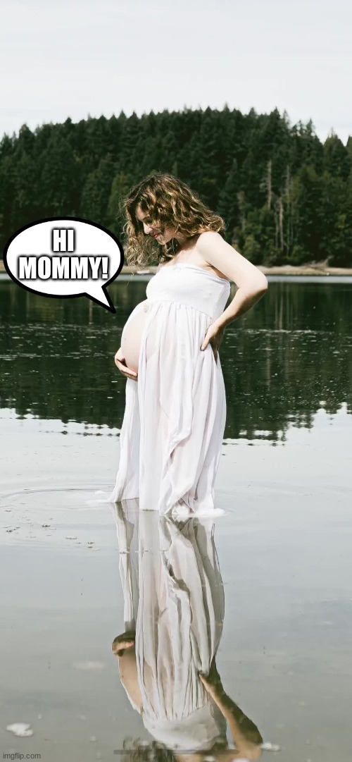 Baby speaks to mommy from belly | HI MOMMY! | image tagged in pregnant woman,baby,talking | made w/ Imgflip meme maker