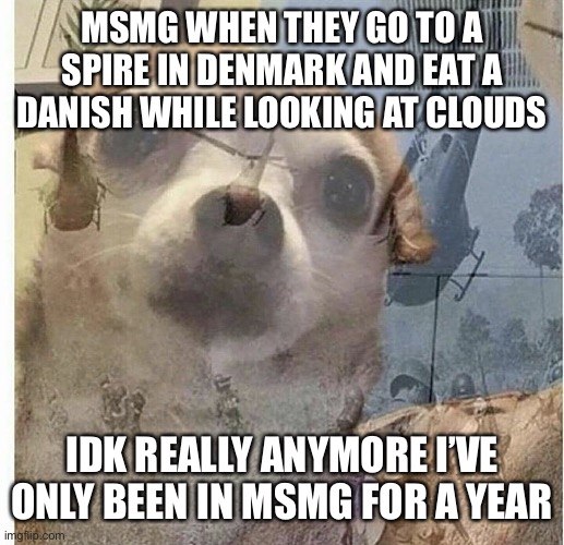 PTSD Chihuahua | MSMG WHEN THEY GO TO A SPIRE IN DENMARK AND EAT A DANISH WHILE LOOKING AT CLOUDS; IDK REALLY ANYMORE I’VE ONLY BEEN IN MSMG FOR A YEAR | image tagged in ptsd chihuahua | made w/ Imgflip meme maker