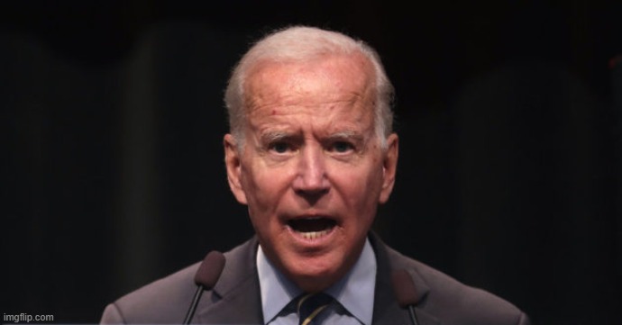 The most important thing Biden has ever said... | image tagged in biden | made w/ Imgflip meme maker