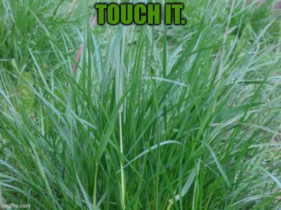 TOUCH IT. | made w/ Imgflip meme maker