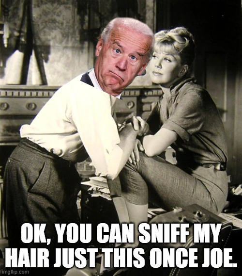 sniff | OK, YOU CAN SNIFF MY HAIR JUST THIS ONCE JOE. | image tagged in sniff | made w/ Imgflip meme maker
