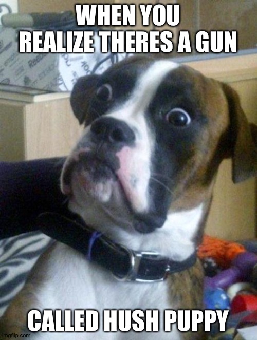 i wonder what it is used for...... |  WHEN YOU REALIZE THERES A GUN; CALLED HUSH PUPPY | image tagged in suprised boxer,dark humor,that moment when you realize,dogs,puppy | made w/ Imgflip meme maker