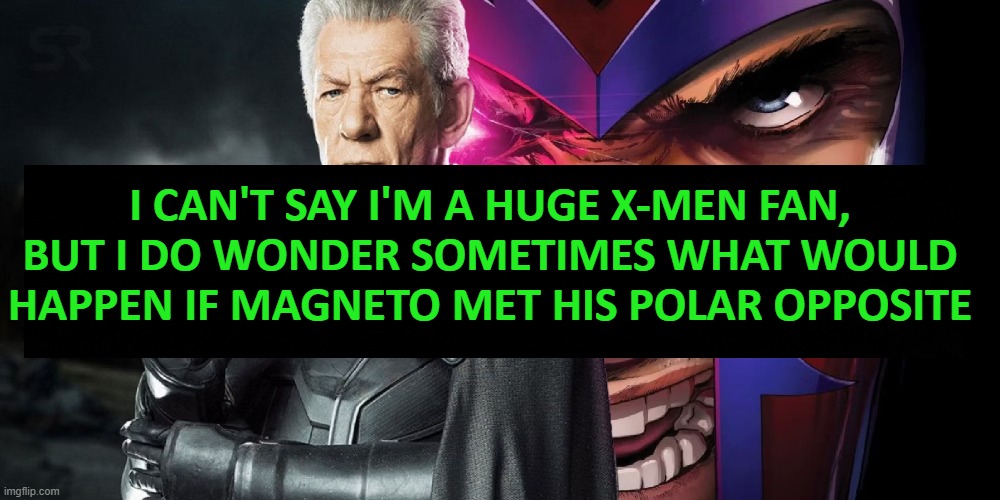 Just Late Night Punning Silly | I CAN'T SAY I'M A HUGE X-MEN FAN, BUT I DO WONDER SOMETIMES WHAT WOULD HAPPEN IF MAGNETO MET HIS POLAR OPPOSITE | image tagged in puns,x-men,magneto,funny | made w/ Imgflip meme maker