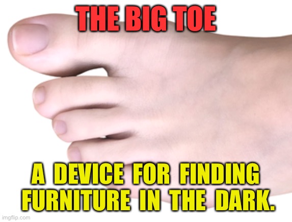 The Big Toe | THE BIG TOE; A  DEVICE  FOR  FINDING  FURNITURE  IN  THE  DARK. | image tagged in big toe,device,finding furniture,in the dark,fun,foot | made w/ Imgflip meme maker
