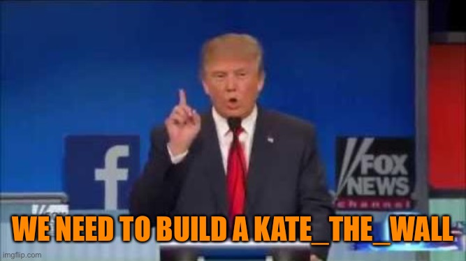 We Need to Build a Wall | WE NEED TO BUILD A KATE_THE_WALL | image tagged in we need to build a wall | made w/ Imgflip meme maker