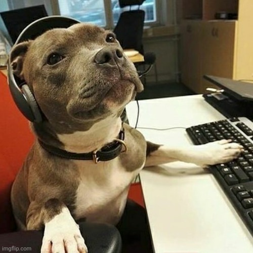 pit bull tech support | image tagged in pit bull tech support | made w/ Imgflip meme maker