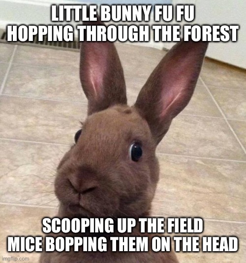 Really? Rabbit | LITTLE BUNNY FU FU HOPPING THROUGH THE FOREST SCOOPING UP THE FIELD MICE BOPPING THEM ON THE HEAD | image tagged in really rabbit | made w/ Imgflip meme maker