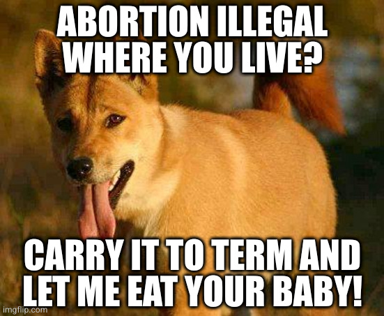 Would a Dingo Really Eat Your Baby?