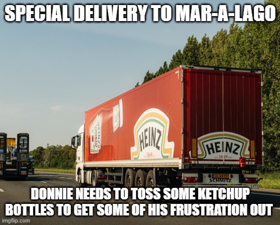 Heinz Ketchup | SPECIAL DELIVERY TO MAR-A-LAGO; DONNIE NEEDS TO TOSS SOME KETCHUP BOTTLES TO GET SOME OF HIS FRUSTRATION OUT | image tagged in heinz ketchup | made w/ Imgflip meme maker