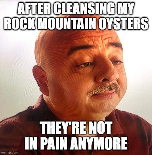 oysters | AFTER CLEANSING MY ROCK MOUNTAIN OYSTERS; THEY'RE NOT IN PAIN ANYMORE | image tagged in the guy | made w/ Imgflip meme maker
