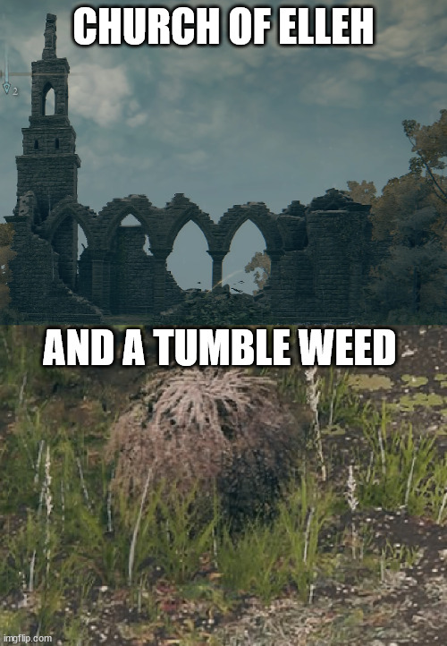 Church of Elleh and a Tumble Weed | CHURCH OF ELLEH; AND A TUMBLE WEED | image tagged in church of elleh and x | made w/ Imgflip meme maker