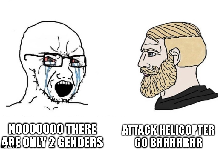 lol |  ATTACK HELICOPTER GO BRRRRRRR; NOOOOOOO THERE ARE ONLY 2 GENDERS | image tagged in soyboy vs yes chad | made w/ Imgflip meme maker