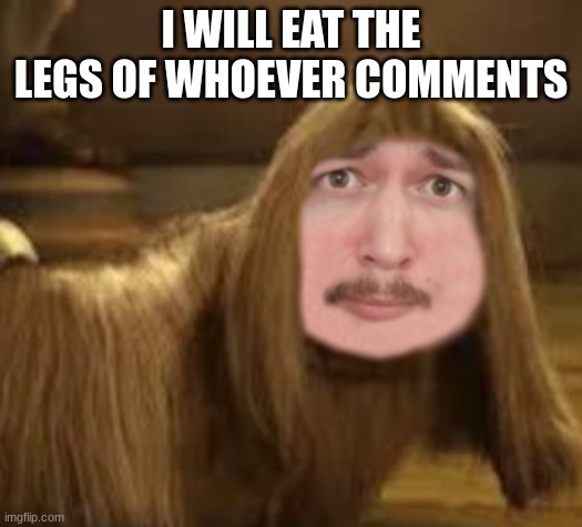DoogalHere | I WILL EAT THE LEGS OF WHOEVER COMMENTS | image tagged in doogalhere | made w/ Imgflip meme maker