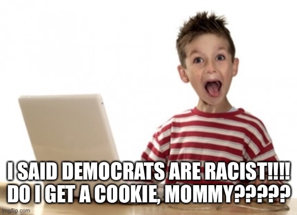 Little Boy At Computer | I SAID DEMOCRATS ARE RACIST!!!! DO I GET A COOKIE, MOMMY????? | image tagged in little boy at computer | made w/ Imgflip meme maker