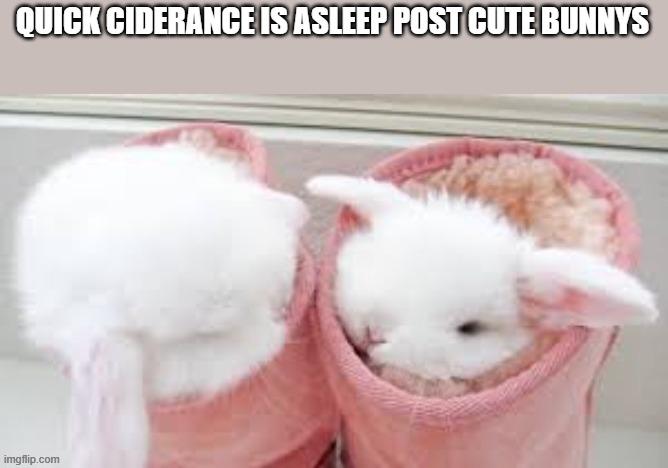 tis her favourite animal | QUICK CIDERANCE IS ASLEEP POST CUTE BUNNYS | made w/ Imgflip meme maker