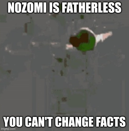 (nozomi_tojo is who i'm talkin abt btw) | NOZOMI IS FATHERLESS; YOU CAN'T CHANGE FACTS | image tagged in peter gets kicked to the void | made w/ Imgflip meme maker