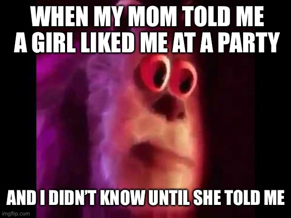 I’m an idiot | WHEN MY MOM TOLD ME A GIRL LIKED ME AT A PARTY; AND I DIDN’T KNOW UNTIL SHE TOLD ME | image tagged in sully groan | made w/ Imgflip meme maker