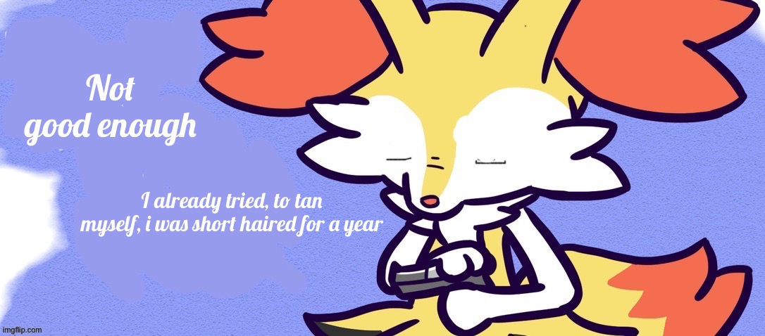 Goodbye Braixen | Not good enough I already tried, to tan myself, i was short haired for a year | image tagged in goodbye braixen | made w/ Imgflip meme maker