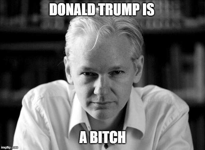 Julian Assange | DONALD TRUMP IS; A BITCH | image tagged in julian assange,donald trump,maga | made w/ Imgflip meme maker