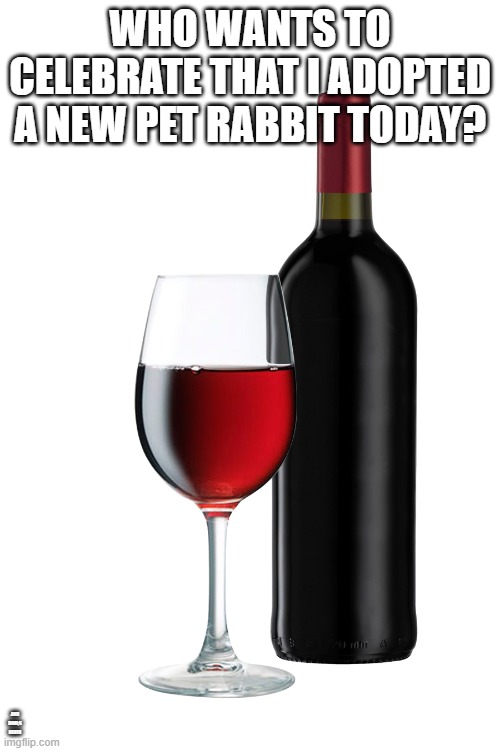 red wine | WHO WANTS TO CELEBRATE THAT I ADOPTED A NEW PET RABBIT TODAY? AND RANI;S DEATH | image tagged in red wine,rabbits | made w/ Imgflip meme maker