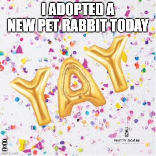 YAY with confetti | I ADOPTED A NEW PET RABBIT TODAY; AND RANI IS DEAD | image tagged in yay with confetti,memes,rabbits | made w/ Imgflip meme maker