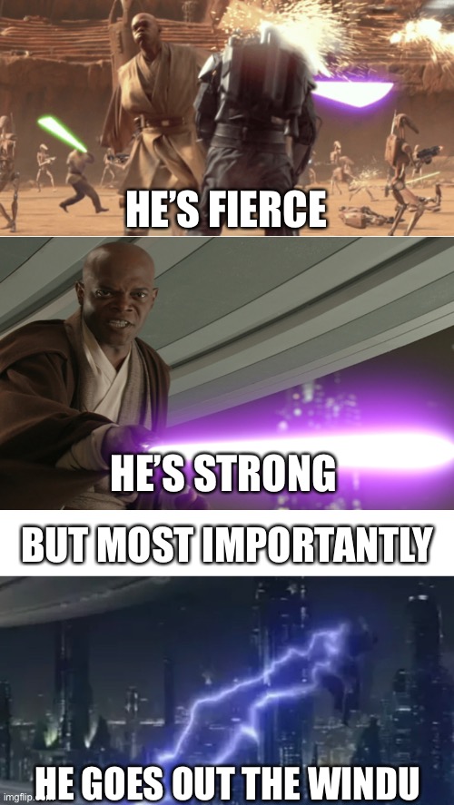 HE’S FIERCE; HE’S STRONG; BUT MOST IMPORTANTLY; HE GOES OUT THE WINDU | image tagged in blank white template | made w/ Imgflip meme maker