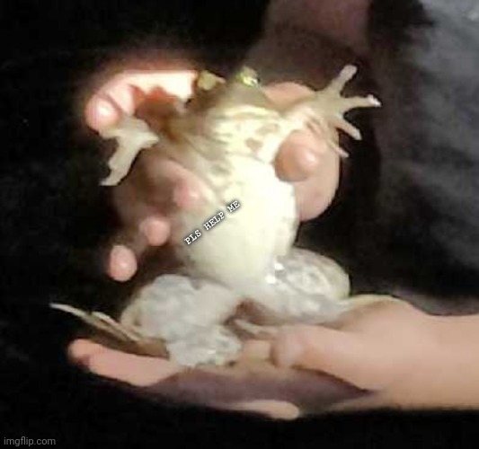 PLS HELP ME | made w/ Imgflip meme maker