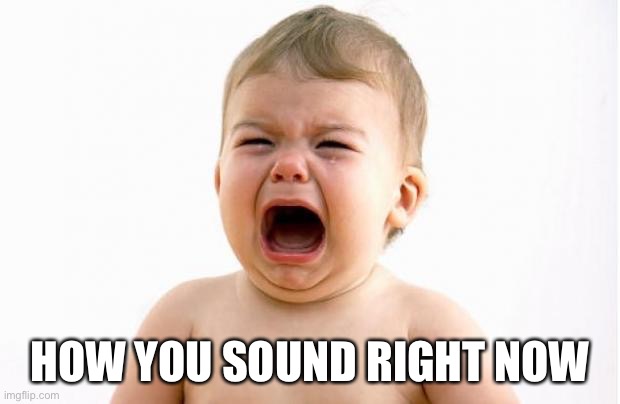 Baby crying  | HOW YOU SOUND RIGHT NOW | image tagged in baby crying | made w/ Imgflip meme maker