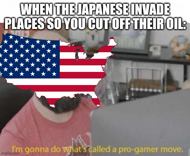 Pro Gamer move | WHEN THE JAPANESE INVADE PLACES SO YOU CUT OFF THEIR OIL: | image tagged in pro gamer move | made w/ Imgflip meme maker