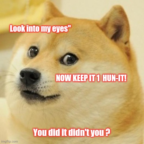 Keep it 1 Hun-it | Look into my eyes"; NOW KEEP IT 1  HUN-IT! You did it didn't you ? | image tagged in memes,doge | made w/ Imgflip meme maker