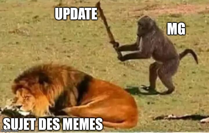 Monkey lion | UPDATE; MG; SUJET DES MEMES | image tagged in monkey lion | made w/ Imgflip meme maker