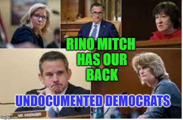 Undocumented Democrat's supported by rino Mitch McConnell | RINO MITCH
 HAS OUR
 BACK; UNDOCUMENTED DEMOCRATS | image tagged in liz cheney-bush warmongers with blood on their hands | made w/ Imgflip meme maker