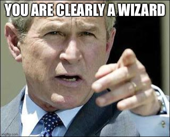 you are clearly a wizard | YOU ARE CLEARLY A WIZARD | image tagged in you are clearly a wizard | made w/ Imgflip meme maker