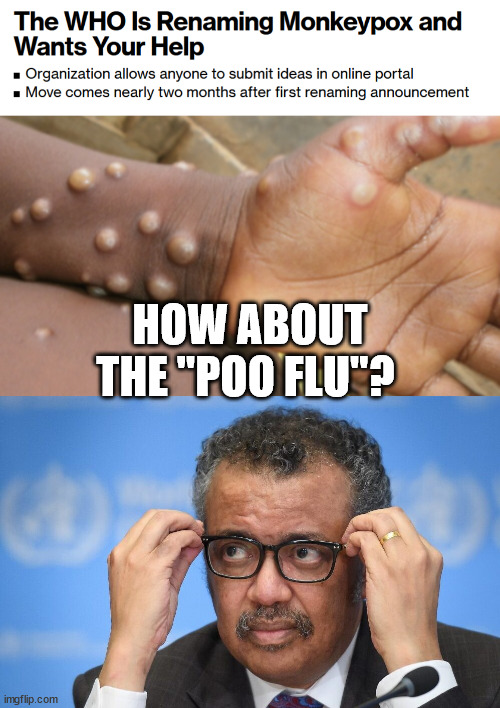 Labels are important to selling the narrative... | HOW ABOUT THE "POO FLU"? | image tagged in monkeypox,who | made w/ Imgflip meme maker