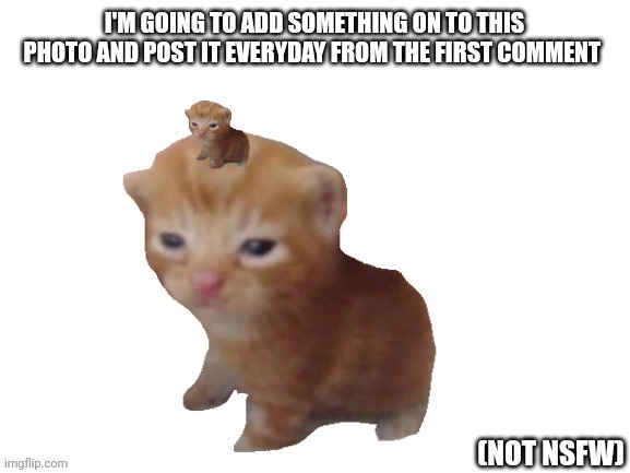 Adding to a picture of Herbert from the comments: Day 2 | image tagged in why did i make this,why am i doing this | made w/ Imgflip meme maker