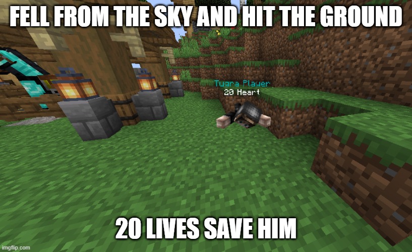 falling meme | FELL FROM THE SKY AND HIT THE GROUND; 20 LIVES SAVE HIM | image tagged in minecraft,minecraft memes,gaming | made w/ Imgflip meme maker