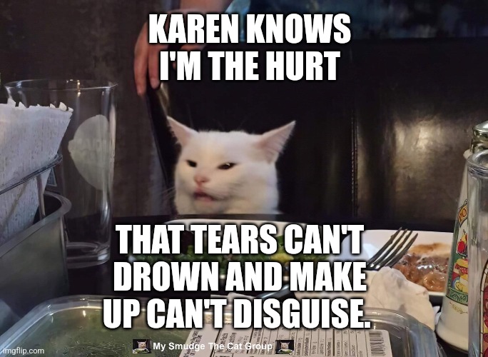  KAREN KNOWS I'M THE HURT; THAT TEARS CAN'T DROWN AND MAKE UP CAN'T DISGUISE. | image tagged in smudge the cat | made w/ Imgflip meme maker