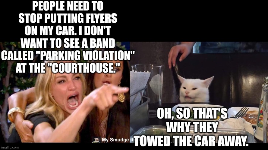 PEOPLE NEED TO STOP PUTTING FLYERS ON MY CAR. I DON'T WANT TO SEE A BAND CALLED "PARKING VIOLATION" AT THE "COURTHOUSE."; OH, SO THAT'S WHY THEY TOWED THE CAR AWAY. | image tagged in smudge the cat | made w/ Imgflip meme maker