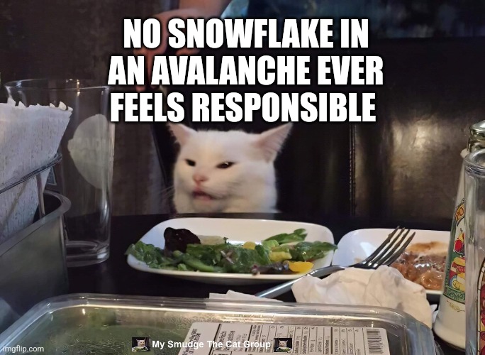  NO SNOWFLAKE IN AN AVALANCHE EVER FEELS RESPONSIBLE | image tagged in smudge the cat | made w/ Imgflip meme maker