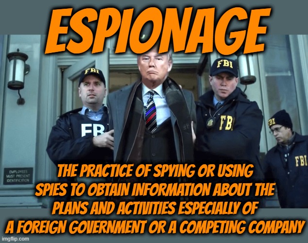 ESPIONAGE | ESPIONAGE; THE PRACTICE OF SPYING OR USING SPIES TO OBTAIN INFORMATION ABOUT THE PLANS AND ACTIVITIES ESPECIALLY OF A FOREIGN GOVERNMENT OR A COMPETING COMPANY | image tagged in espionage,spy,treason,information,espionage act of 1917,criminal | made w/ Imgflip meme maker