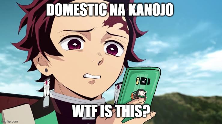 Tanjiro Disgust | DOMESTIC NA KANOJO; WTF IS THIS? | image tagged in tanjiro disgust | made w/ Imgflip meme maker
