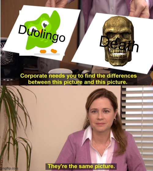 Duolingo know you haven’t done your Spanish lessons | Duolingo; Death | image tagged in memes,they're the same picture | made w/ Imgflip meme maker