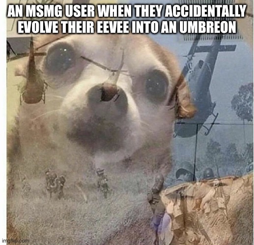 PTSD Chihuahua | AN MSMG USER WHEN THEY ACCIDENTALLY EVOLVE THEIR EEVEE INTO AN UMBREON | image tagged in ptsd chihuahua | made w/ Imgflip meme maker