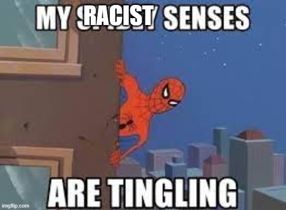 My Spidey Senses Are Tingling | RACIST | image tagged in my spidey senses are tingling | made w/ Imgflip meme maker
