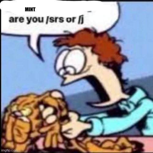 Garfield are you /srs or /j | MINT | image tagged in garfield are you /srs or /j | made w/ Imgflip meme maker
