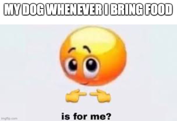 Is for me | MY DOG WHENEVER I BRING FOOD | image tagged in is for me,memes,dogs,food | made w/ Imgflip meme maker
