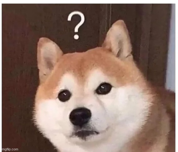 Doge question | image tagged in doge question | made w/ Imgflip meme maker