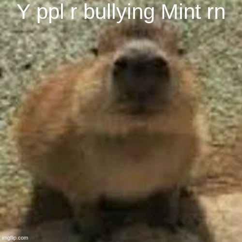 Gort | Y ppl r bullying Mint rn | image tagged in gort | made w/ Imgflip meme maker
